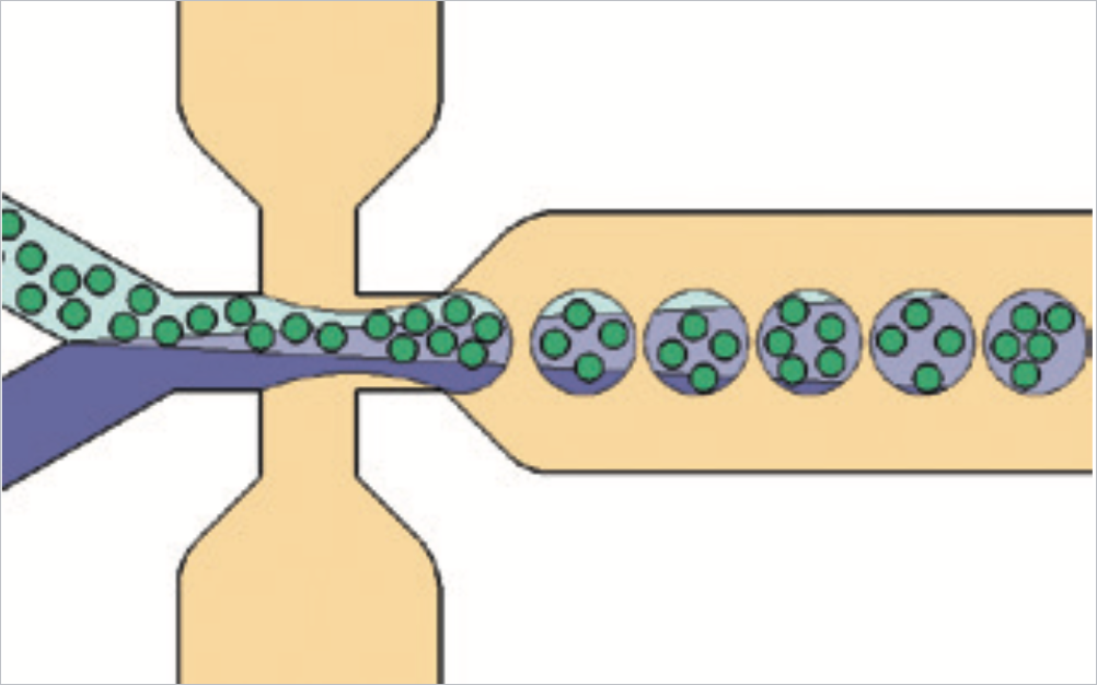 Высокопроизводительная инкапсуляция клеток и изучение их транскриптома, Dolomite Microfluidics