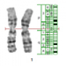 Программное обеспечение для автоматического кариотипирования хромосом Аргус-Karyo