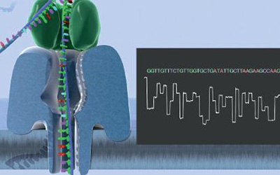 Нанопоровое секвенирование Oxford Nanopore