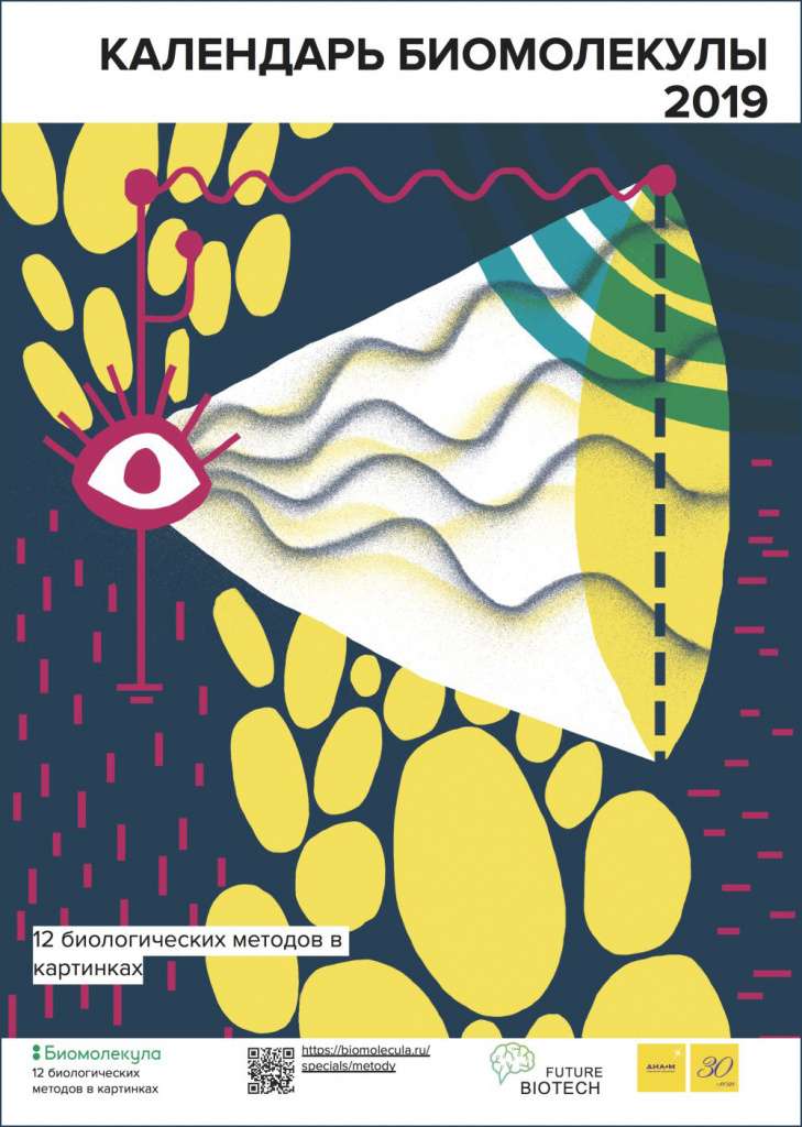 sm-biomolecula-12-methods-calendar-2019.jpg