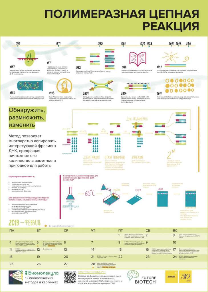 sm-biomolecula-12-methods-calendar-20194.jpg