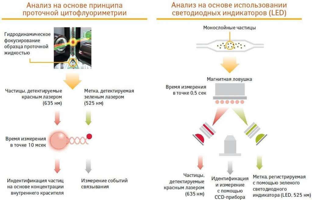 luminex-magpix.jpg