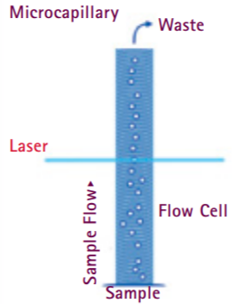 FlowCell_capil.PNG