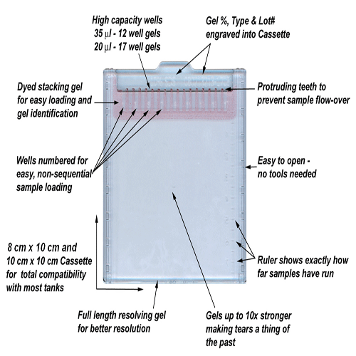 SDS-PAGE-Gel-4-20-Triethanolamine-Reagents-ab119209-1.gif