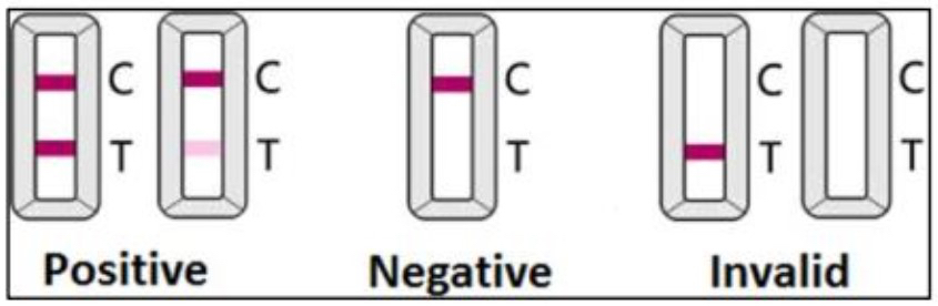 abcam-test2.jpg