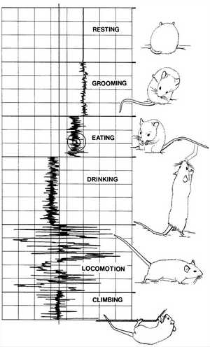 behav-signals.jpg