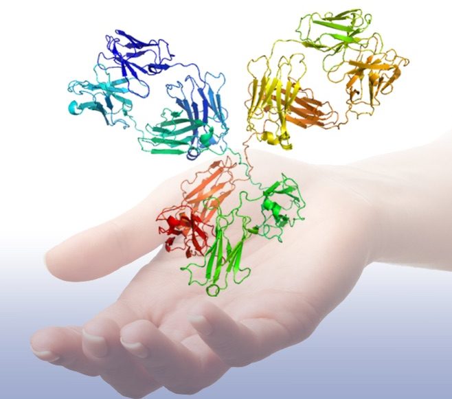 Hand-with-proteins.jpg