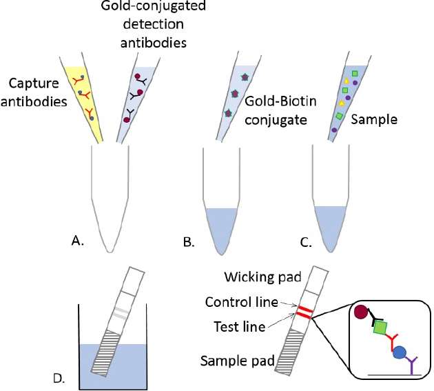 Universal-Lateral-Flow-Assay-Kit2.jpg