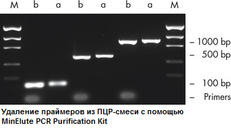 Удаление праймеров из ПЦР-смеси с помощью MinElute PCR Purification Kit