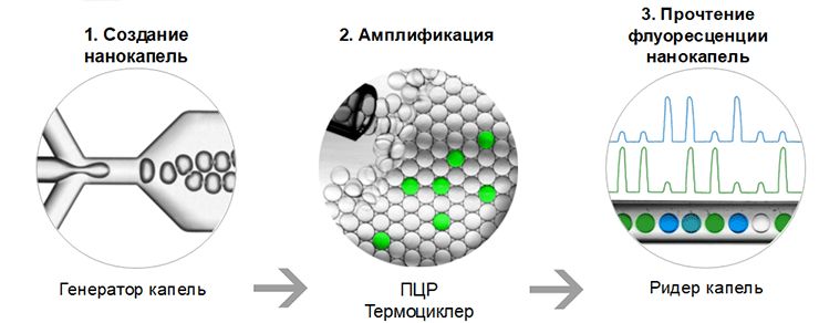 PCR_2.jpg