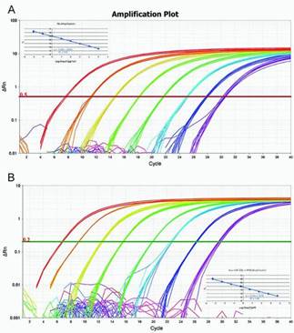 PCR_2.jpg