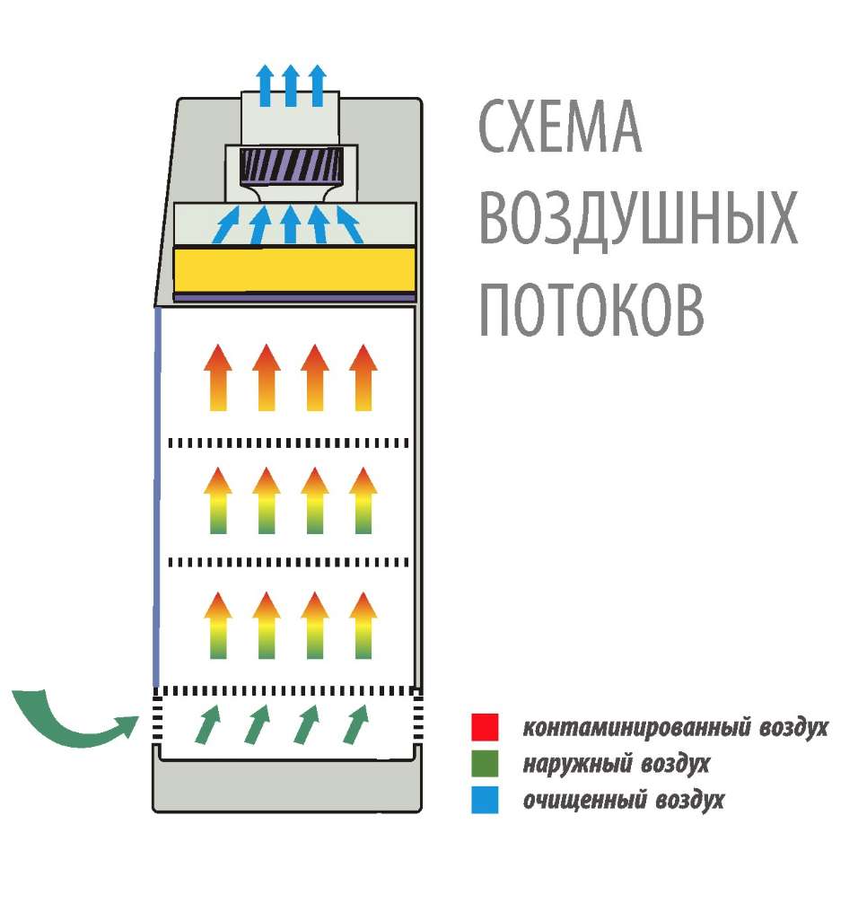 Lamsys-2.jpg