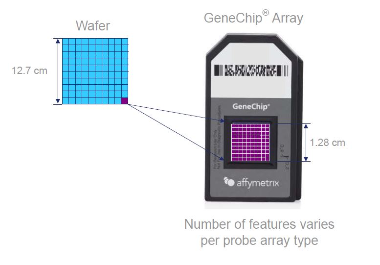 Система для проведения микроматричного анализа GeneChip Scanner 3000 7G System