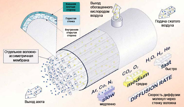 membrane.jpg