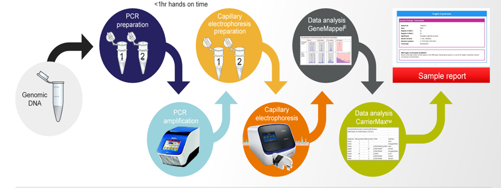 rabochii-process-s-naborami-carriermax.png