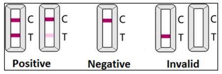 ab272243-386765-novel-coronavirus-IgG-antibody-detection-kit-sars-cov2.jpg