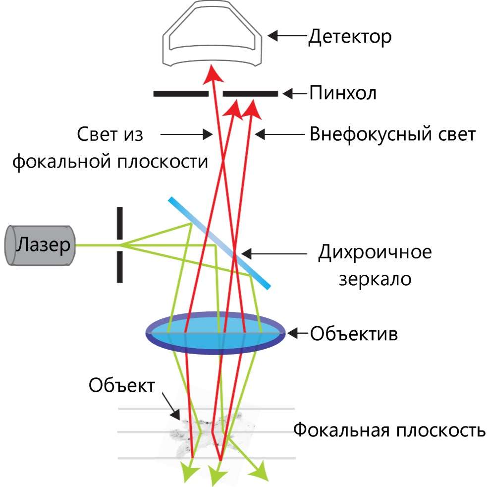 confocal_scheme.jpg