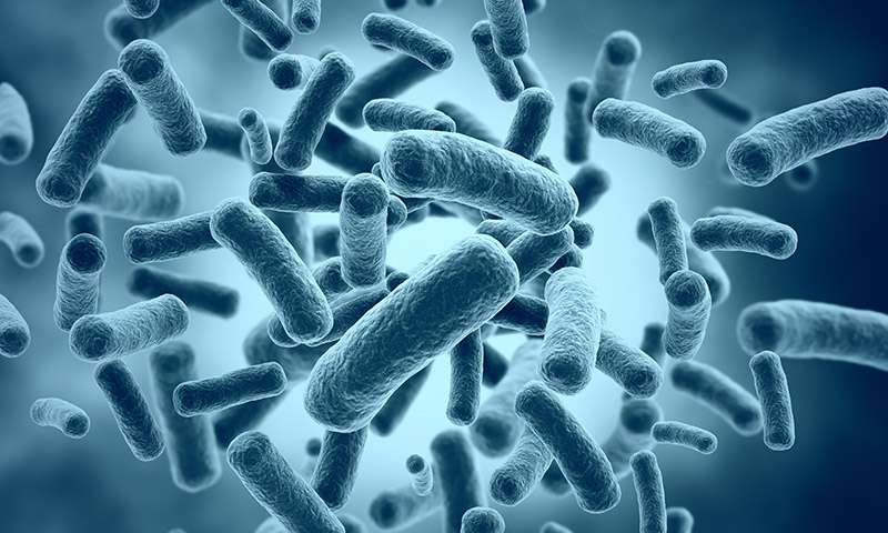 bacteria-3d-render.jpg