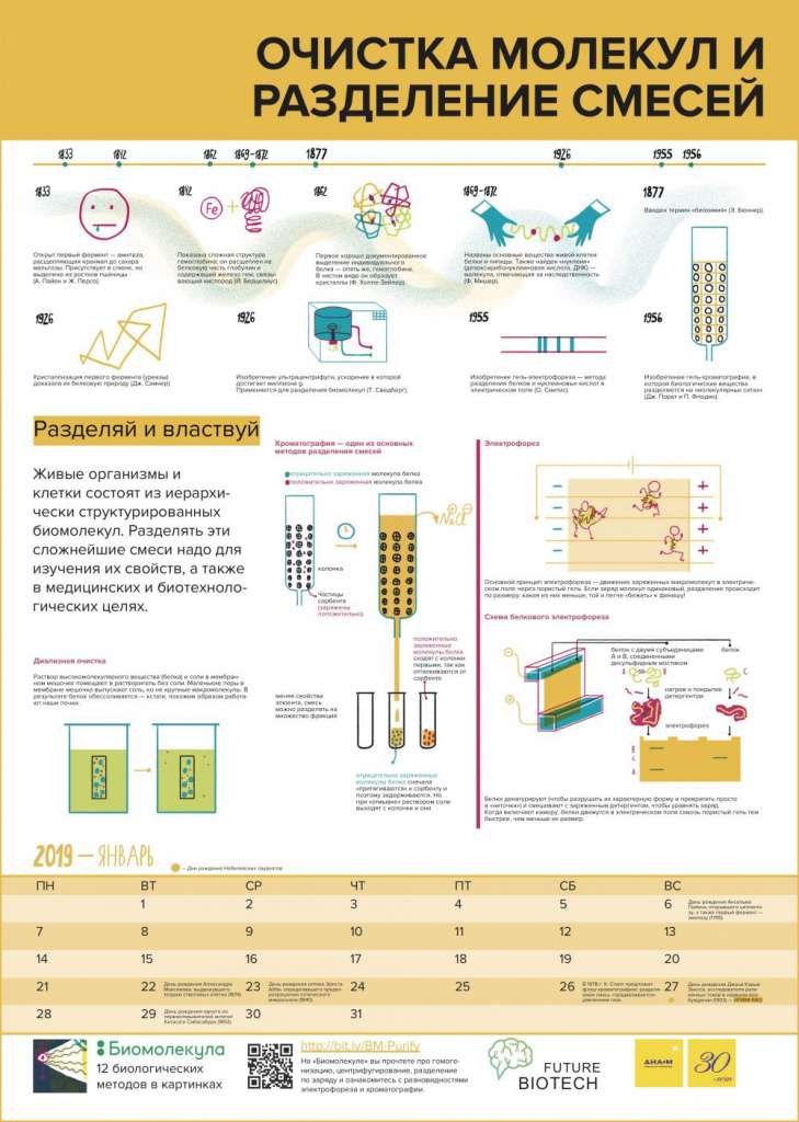 sm-biomolecula-12-methods-calendar-20193.jpg