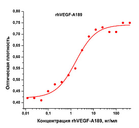 Фактор роста эндотелия сосудов- А человека, изоформа 189, рекомбинантный белок, rhVEGF-A189