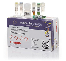 Набор для проведения прямой ПЦР Phire Tissue Direct PCR Master Mix из широкого спектра тканей без предварительного выделения ДНК, Thermo FS