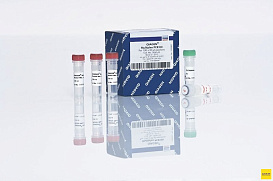 Мастер-микс для мультиплексной ПЦР Multiplex PCR Kit