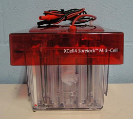 Электрофорезная вертикальная камера XCell SureLock Midi-Cell, 8х13 см, 4 геля