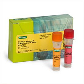 Набор для синтеза кДНК iScript Advanced cDNA Synthesis Kit