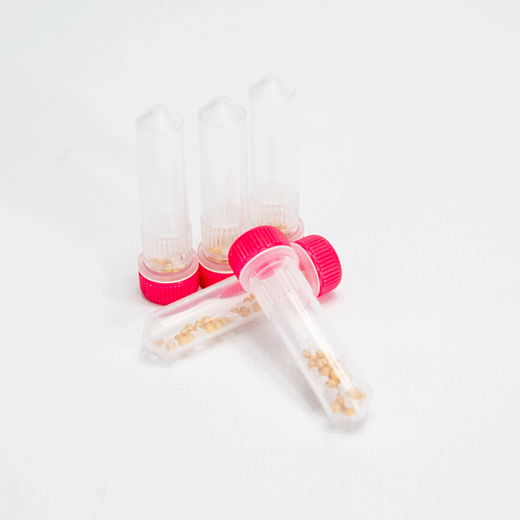 Пробирки 2 мл Lysing Matrix J, шарики из оксида циркония d 2 мм, оксида алюминия d 1,6 мм, MP Biomedicals Фото 1