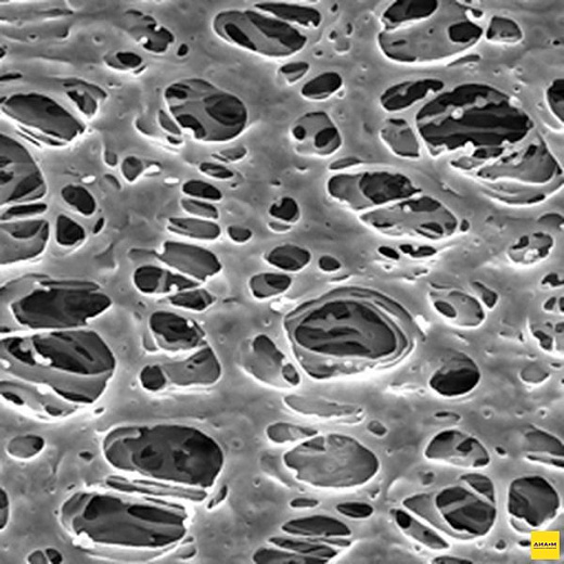 Фильтр, Экспресс, d пор 0,22 мкм, d мембраны 142 мм, 50 шт., Merck (Millipore) Фото 1