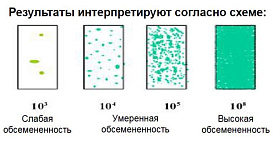 Микробиологические экспресс-тесты для подсчета КМАФАнМ (ОМЧ) с красным индикатром ТТС для удобства подсчета колоний и дрожжи/плесени, двухсторонние, Dip-Slides, 10 шт/уп