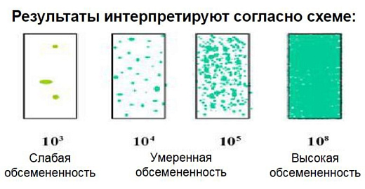 Микробиологические экспресс-тесты для подсчета КМАФАнМ (ОМЧ) с красным индикатром ТТС для удобства подсчета колоний и дрожжи/плесени, двухсторонние, Dip-Slides, 10 шт/уп, Thermo FS Фото 2