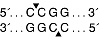  Эндонуклеаза рестрикции MspI, 20 000 ед/мл, New England Biolabs