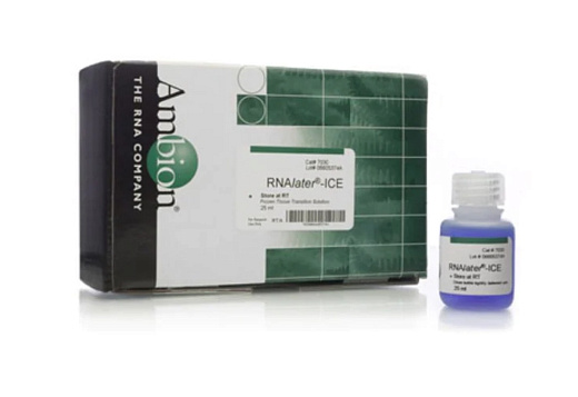 Реагент RNAlater-ICE Frozen Tissue Transition Solution, Thermo FS Фото 1