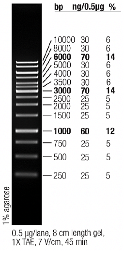 Маркер длин ДНК GeneRuler 1 kb, 14 фрагментов от 250 до 10000 п.н., готовый к применению, 0,5 мкг/мкл, Thermo FS Фото 1