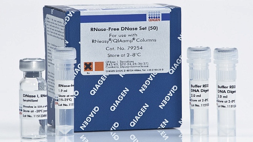 Набор для ДНКазной обработки образцов РНК RNAse-Free DNAse Set, Qiagen Фото 1