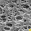 Фильтр, Экспресс, d пор 0,22 мкм, d мембраны 13 мм, 100 шт., Merck (Millipore) Фото 1