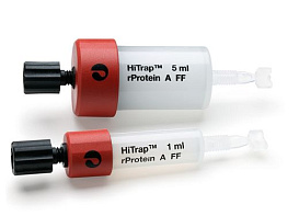 Колонка HiTrap, Sepharose FF rProtein A, очистка IgG антител, 5x1 мл