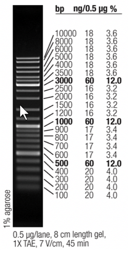 Маркер длин ДНК GeneRuler Mix, 15 фрагментов от 100 до 10000 п.н., 0,5 мкг/мкл, Thermo FS Фото 1