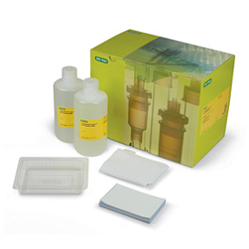 Набор для быстрого блоттинга Trans-Blot Turbo RTA Transfer Kit, Midi, PVDF, 40 Blots