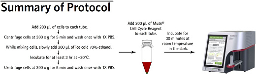 Набор для анализа клеточного цикла Muse Cell Cycle Kit, 100 тестов, Luminex Фото 3