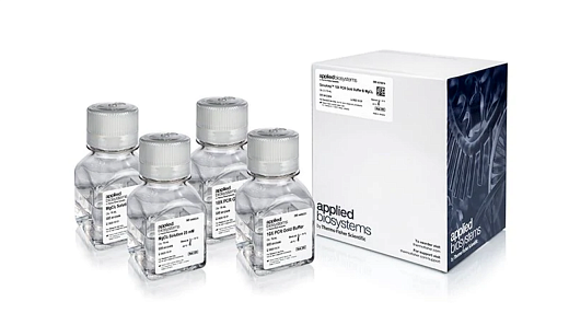 Буфер GeneAmp PCR Gold Buffer & MgCl₂, 10X, Thermo FS Фото 1