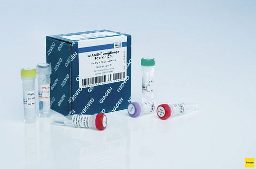 Мастер-микс для амплификации длинных фрагментов LongRange PCR Kit, Qiagen Фото 1