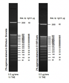 Маркер длин ДНК, 50 bp, 17 фрагментов от 50 до 2500 п.н., 0,5 мкг/мл