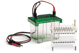 Аппарат для ИЭФ Mini-Protean Tube Cell