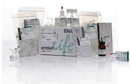 Набор RiboPure RNA Purification Kit, bacteria, Thermo FS Фото 1