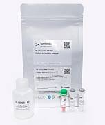 Набор для количественного определения двухцепочечной ДНК от 2 до 1000 нг, QuDye BR