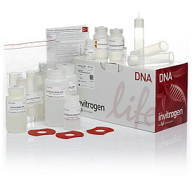 Набор PureLink HiPure Plasmid Maxiprep Kit, Thermo FS