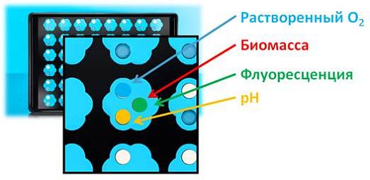 Планшет с лепестковыми лунками Flower Plate, прозрачное дно, безоптодов, 10 шт., M2p-labs Фото 2