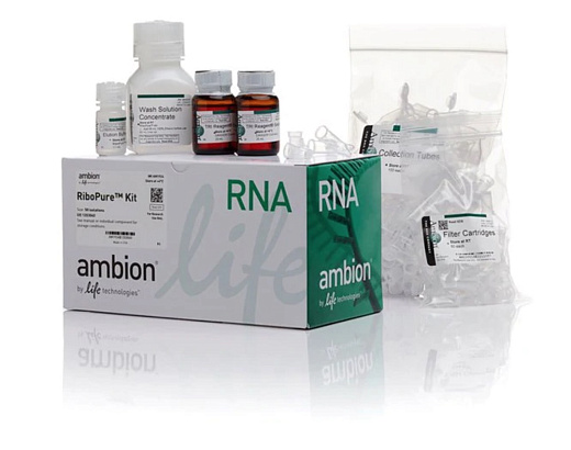 Набор RiboPure RNA Purification Ki, Thermo FS Фото 1